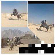 اسب نریان سواری دار