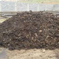 کود مرغی ،کفتر، تحویل محل مورد نظر. تنی