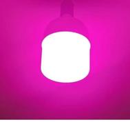 لامپ 60 وات رشد گیاه فوم اسپکتروم