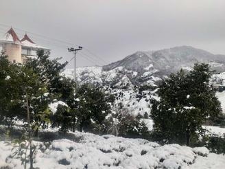 اجاره روزانه ویلا،سوییت املش،رانکوه،ورکوره