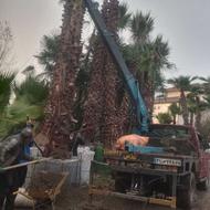 جرثقیل و امداد خودرو تا وزن20تن