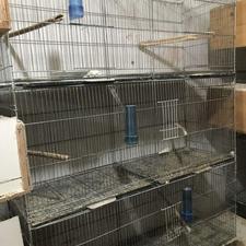 قفس پرنده پران