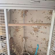 قفس پرنده ابعاد 1در1با ارتفاع140 فلزی