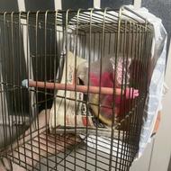 قفس پرنده از مدل بازاری مناسب برای فنچ با لوازم