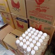 فروش عمده وتکی تخم مرغ زرده طلا