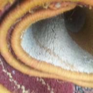 مو کت پادری دوتا 150ت کارکرده یک متری دوتا