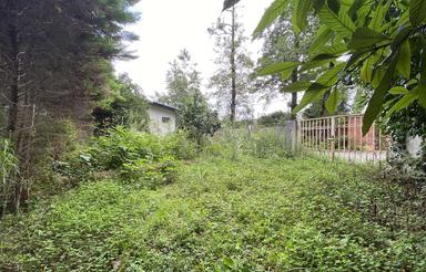 1055 متر باغ با سند با فاصله نزدیک شهر و ساحل