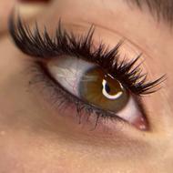 دیدار20درصدی