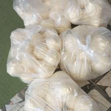 کره محلی جنگلی بندپی