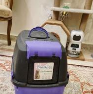 ظرف خاک گربه