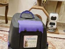 ظرف خاک گربه در شیپور