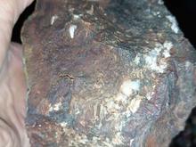 شهاب سنگ اصل در شیپور