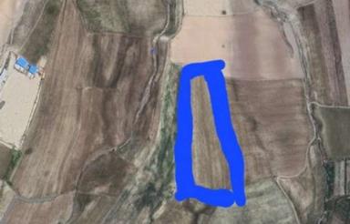 زمین دیم وآینده دار پول دوکیلو جو نزدیک دامداری ها