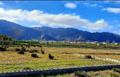 زمین ایده آل برای سرمایه گذاری/توسکا محله چابکسر/آینده دار