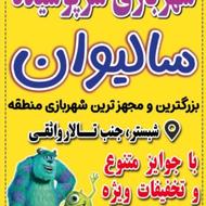 استخدام نیرو خانم برای صندوق