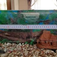 آکواریوم ماهی