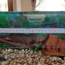 آکواریوم ماهی