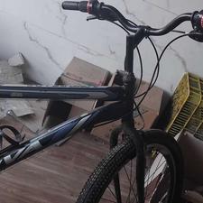 دوچرخه 26 ویوا اصلی