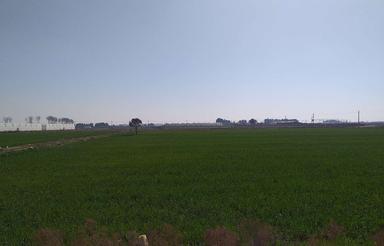 5000 زمین قرچک داودآباد