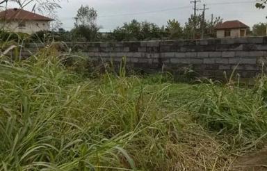 زمین 300 متر در هادیکیاشهر کلاچای نسفی