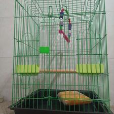 قفس نو مناسب انواع پرنده