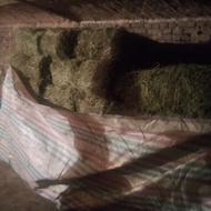 یونجه تمیز تمیز