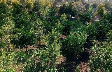 فروش زمین 600متری در میاندورود روستای لالیم