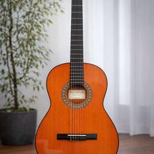 گیتار کلاسیک هنرجویی Haamdaad Student