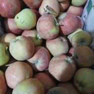 سیب قرمز سرد خانه