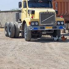 ولوو ان 12 بدون رنگ