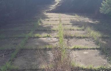 فروش زمین ویلایی 450 متر در ورودی دریا