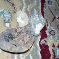 سنگ فسیل سدف و سنگ توخالی