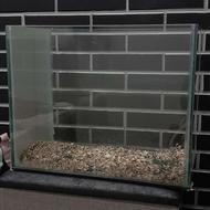 اکواریوم ماهی