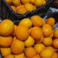 لیموی سنگی آب دار و ارگانیک