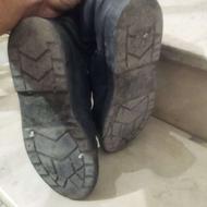 نیم پوت خزدار