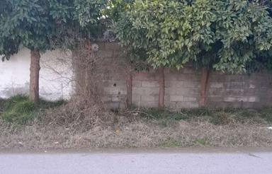 فروش زمین مسکونی 2750 متر در دینه سررکن کلا