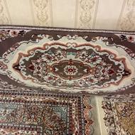 6تا پشتی درحد نو