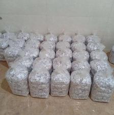 به یک همکار خانم نیازمندیم