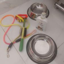 وسایل سگ کم استفاده شده