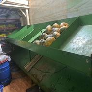 فروش استند فروشگاهی (میوه فروشی )