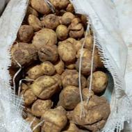 تحویل سیب زمینی دامی در محل شما