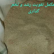 َمکمل تخم گذاری حلزون