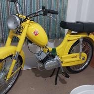 رکس گازی کلکسیونی