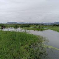 سیمکارت کد 4 دو صفر در وسط کم کارکرد و بدون زنگ خور