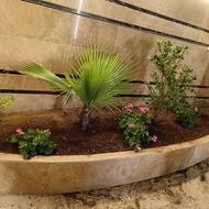 طراحی و اجرای فضای سبز