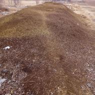 کودحیوانی گوسفندی