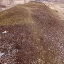 کودحیوانی گوسفندی