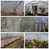 فروش سازه گلخانه