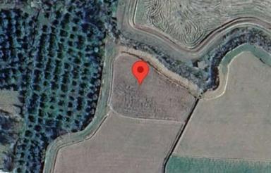 یه قطعه زمین نزدیک خیابون قیمت مقطوع   