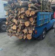 خرید وفروش چوب وبرش درخت مزاهم وخشک بااکیپ کامل